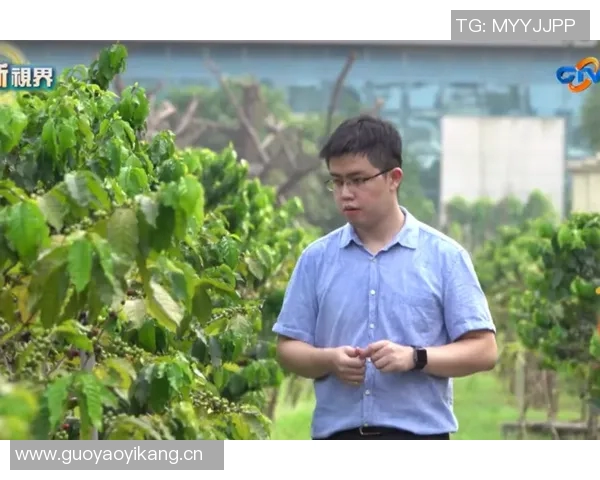 王磊的网球人生深度对话探索他的奋斗与梦想之路